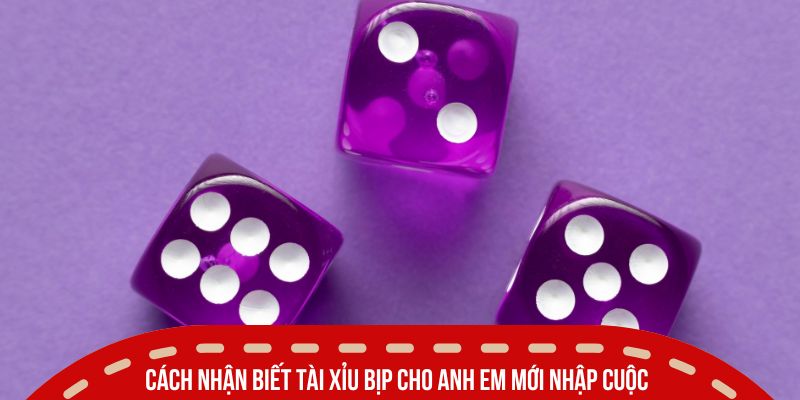Cách nhận biết tài xỉu bịp cho anh em mới nhập cuộc